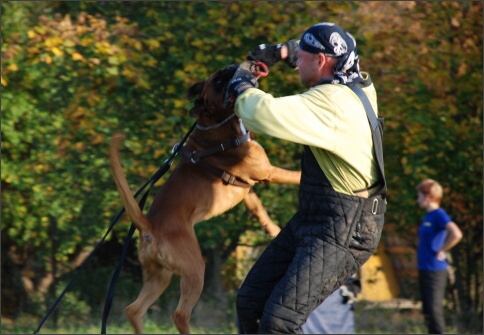 Training in Estonia 9/2007